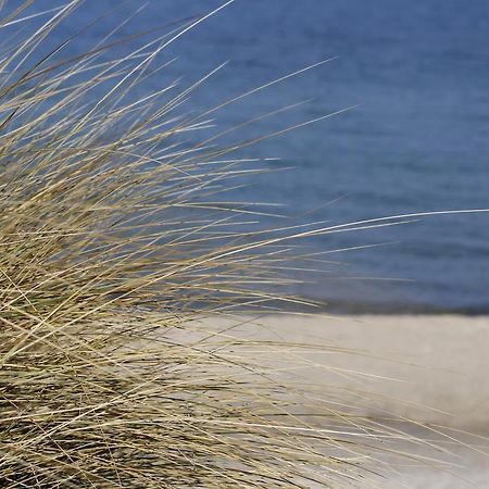 Grosse Kirr Villa Zingst Exteriör bild