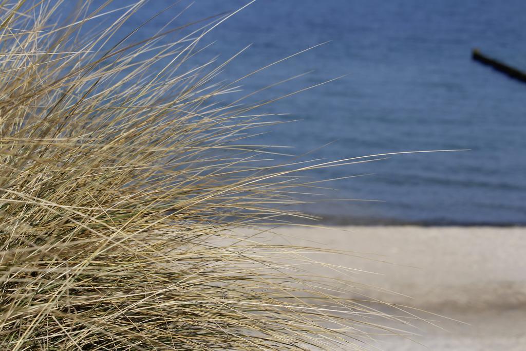 Grosse Kirr Villa Zingst Exteriör bild